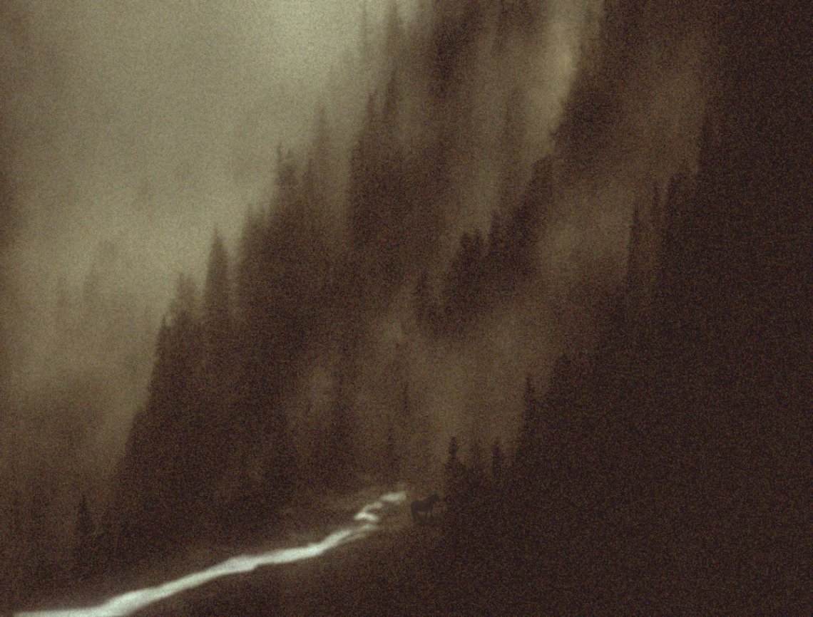 SLEEP HAS HER HOUSE 2017 Scott Barley