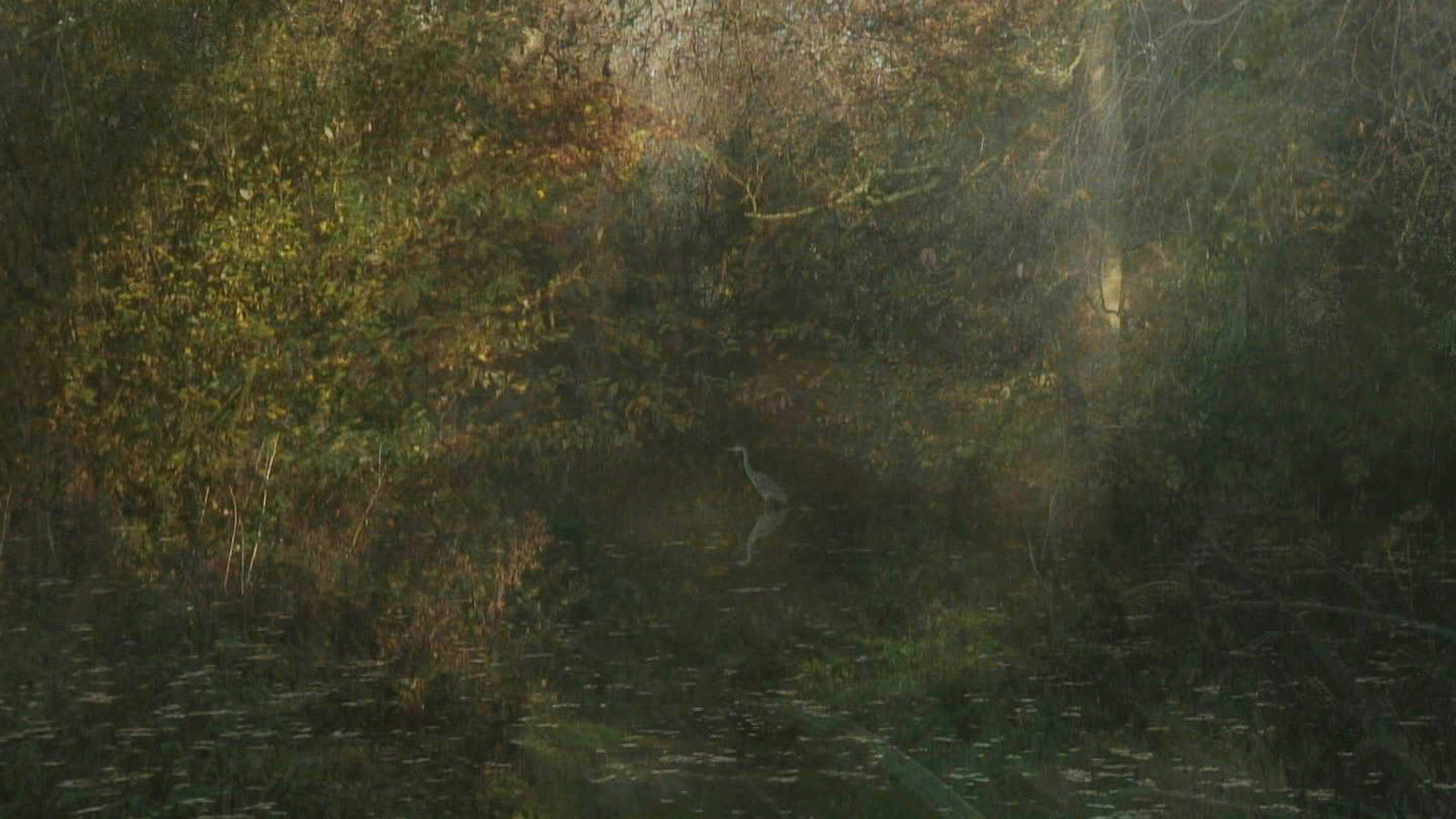 Toby Tatum - The Secluded Grove Film Still