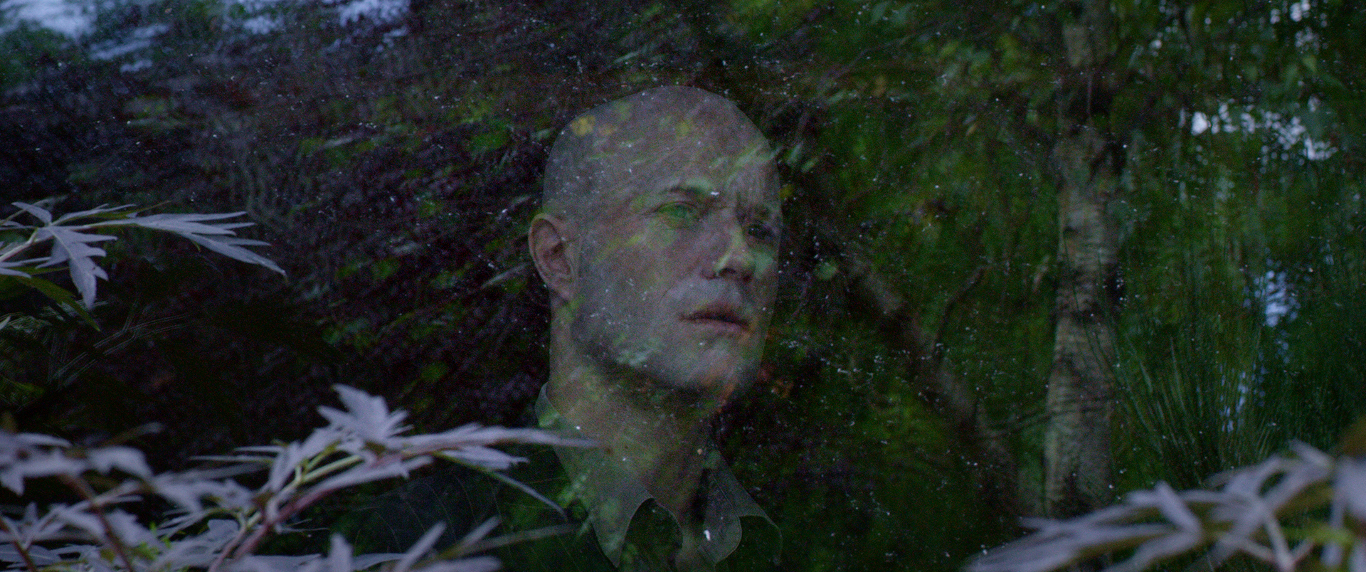 Animal Kingdom 2017 Dean Kavanagh 02