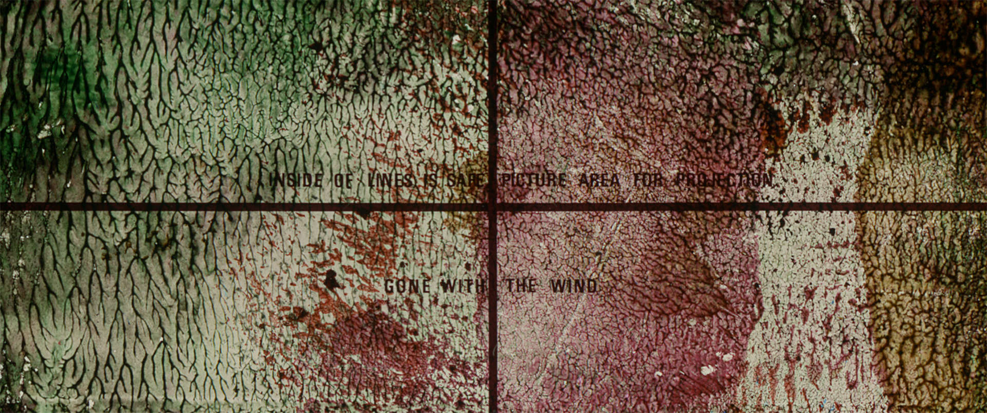 Animal Kingdom 2017 Dean Kavanagh 03