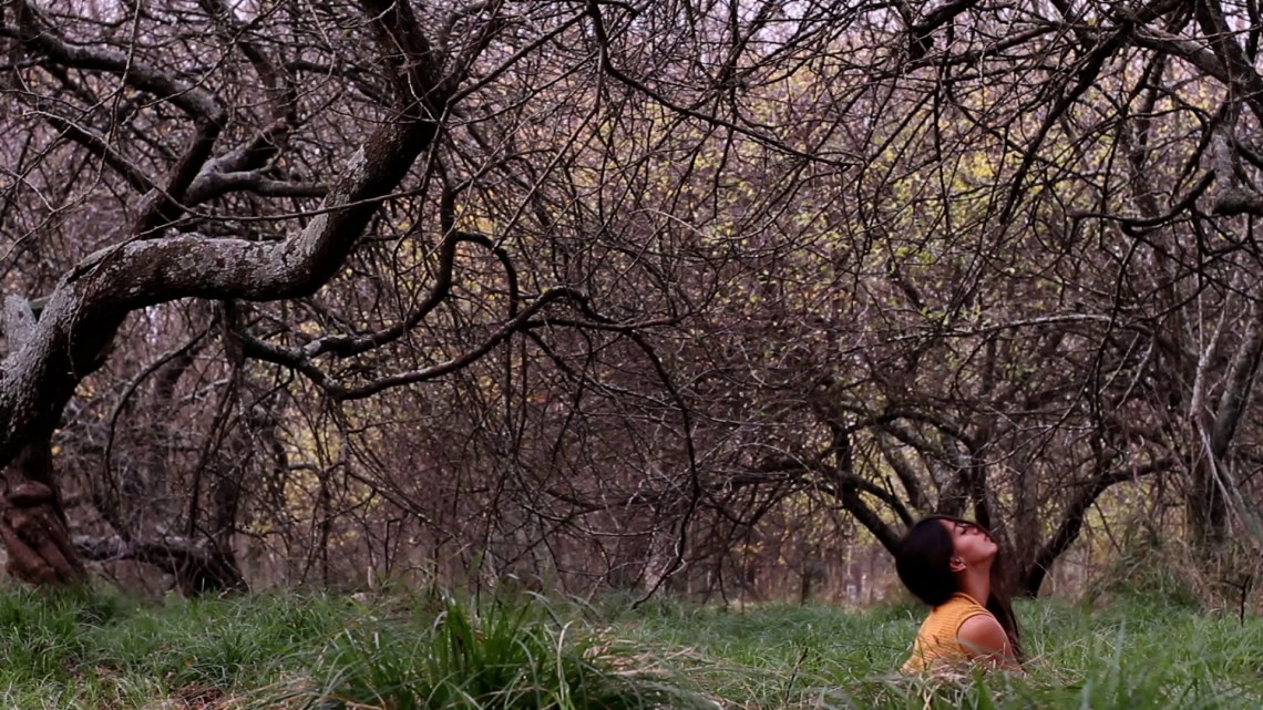 Derrames 2011 Sebastian Wiedemann