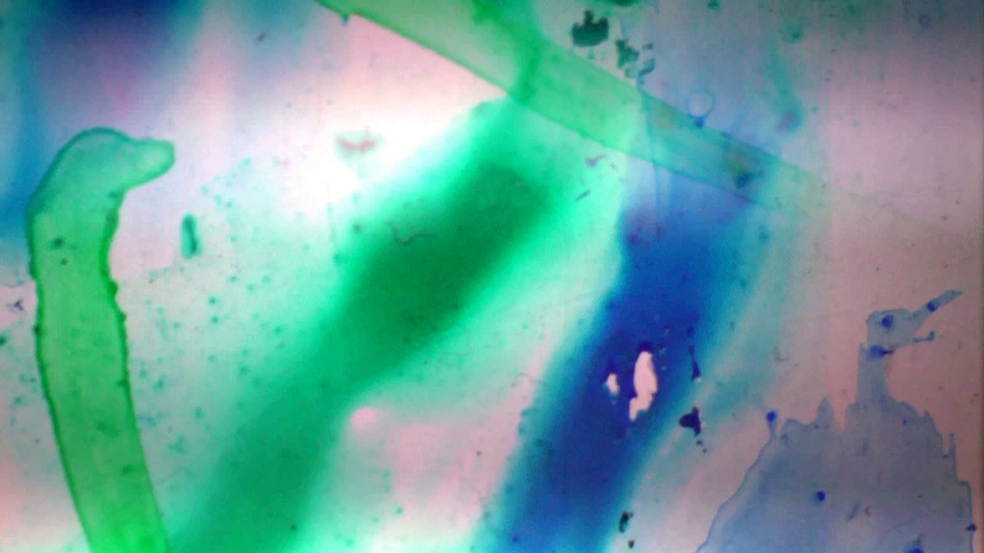 Ondas 2015 Sebastian Wiedemann