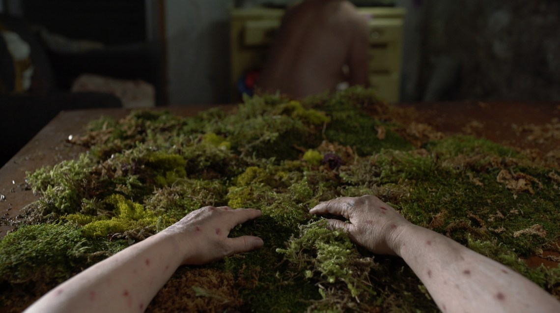 Watering Room 2017 Katya Yabukov 14