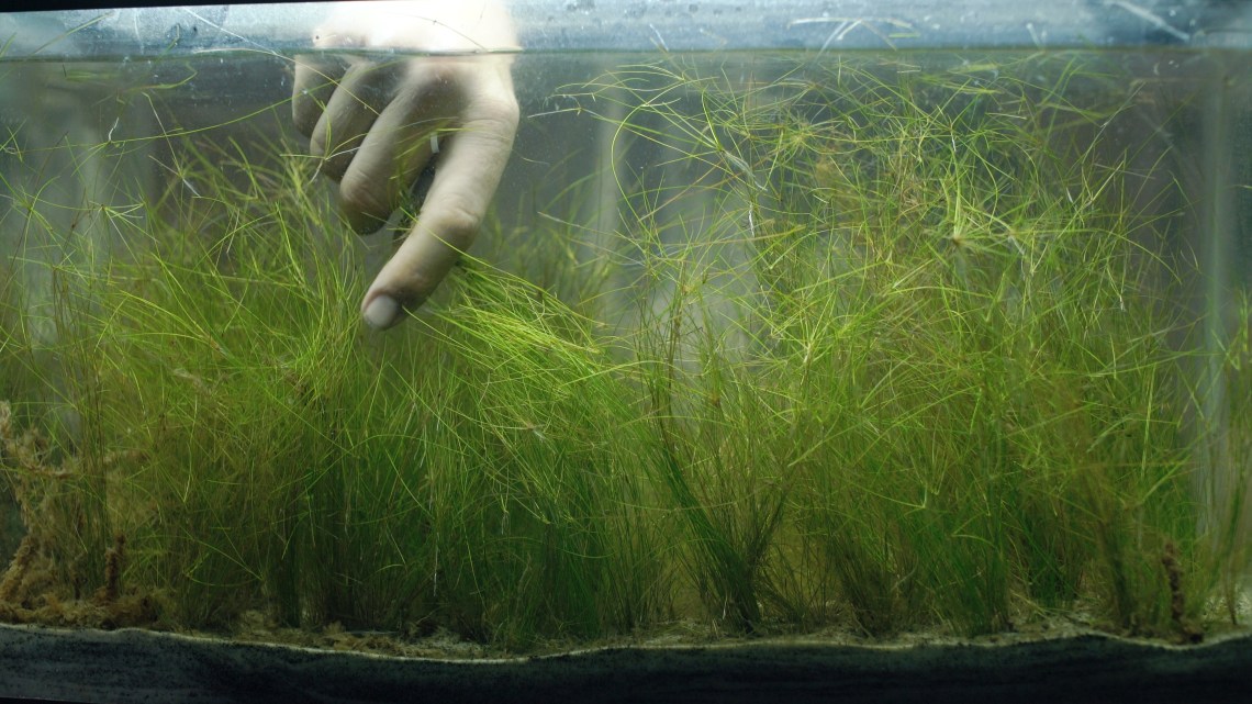 Watering Room 2017 Katya Yabukov 16