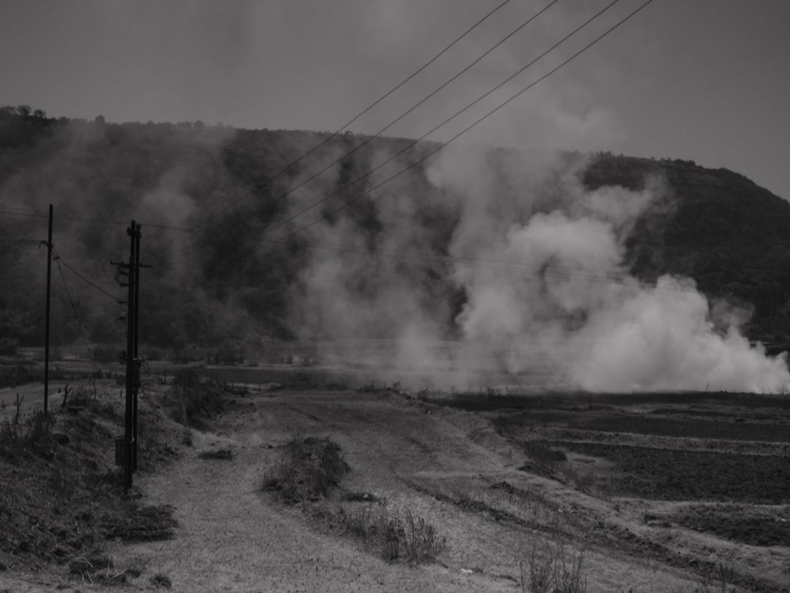 And What Is the Summer Saying? 2018, Payal Kapadia