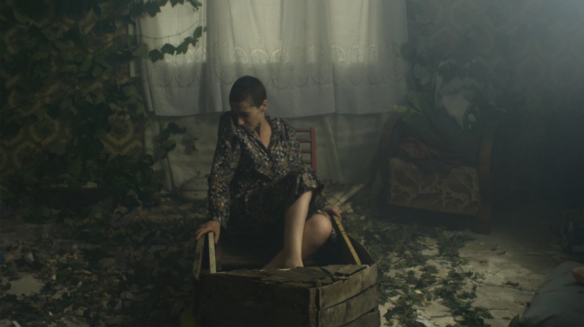 Baba Vanga 2016 Aleksandra Niemczyk