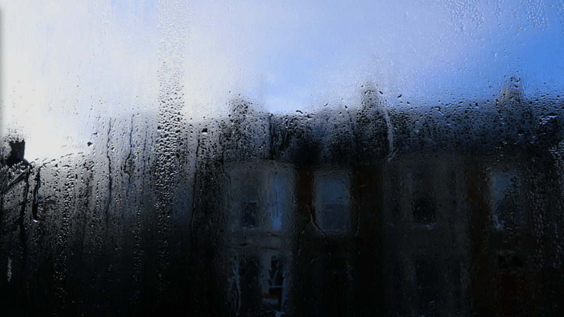 Notes From A Journey 2019 Daniel & Clara