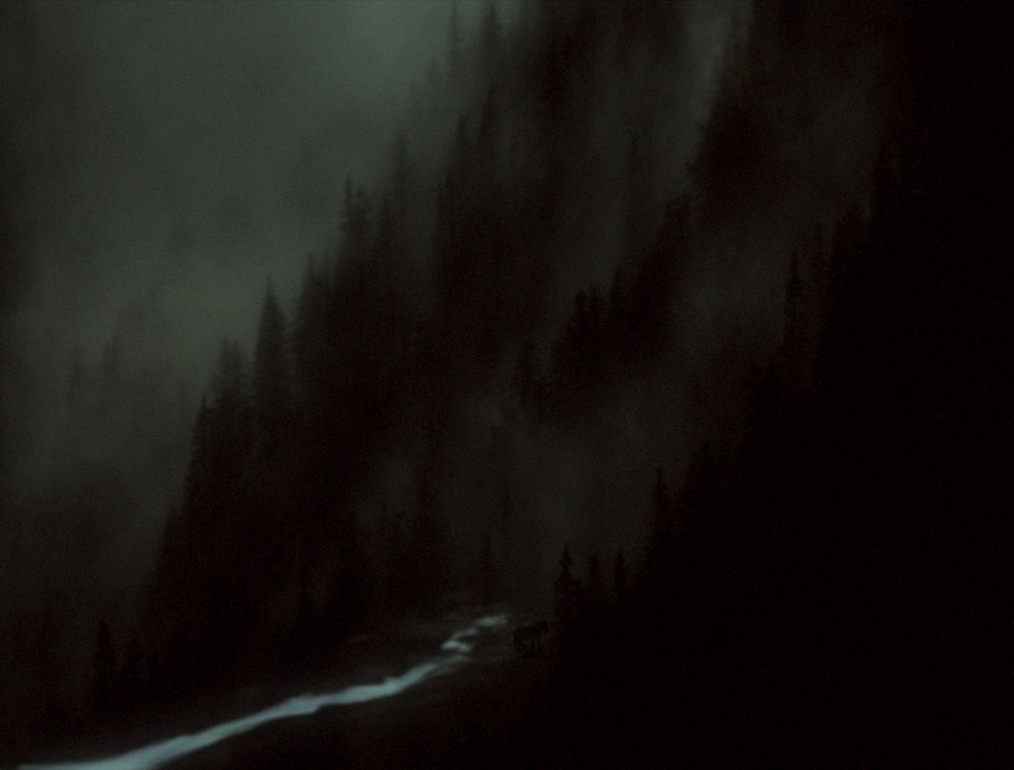 Sleep Has Her House 2017 Scott Barley