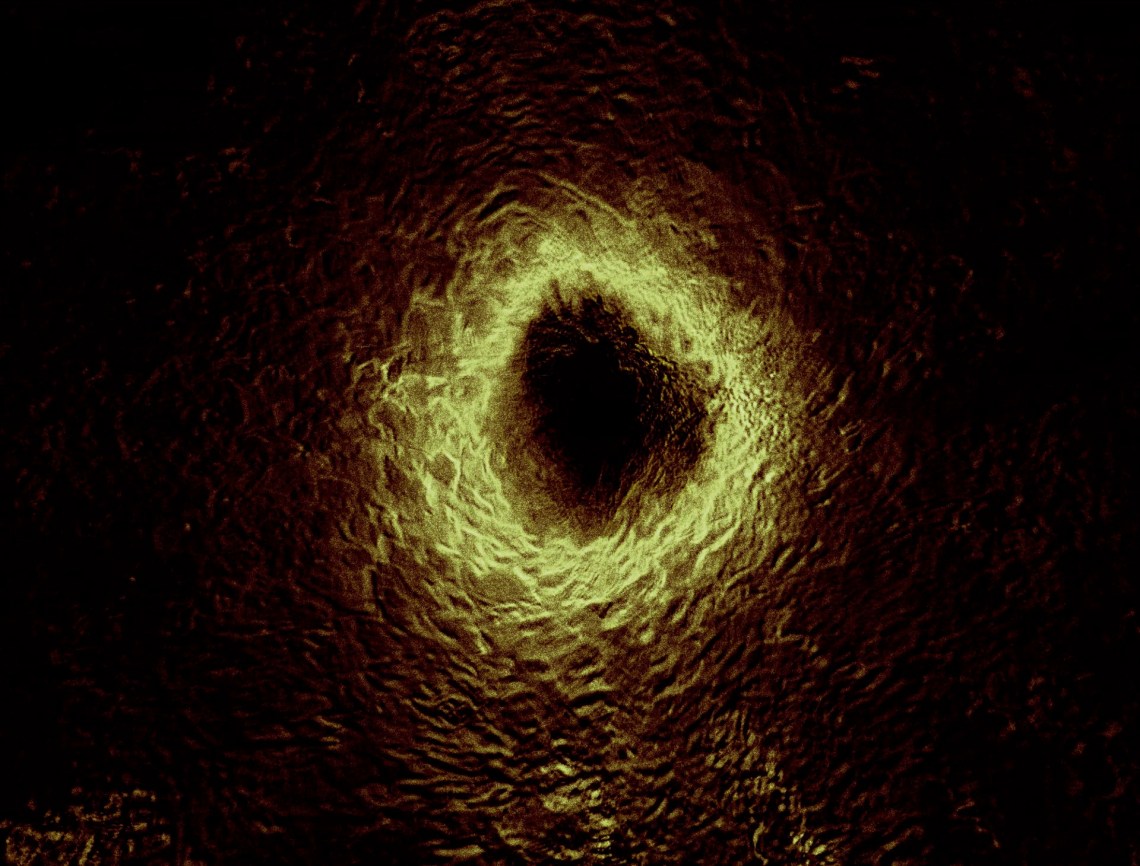 Sleep Has Her House 2017 Scott Barley