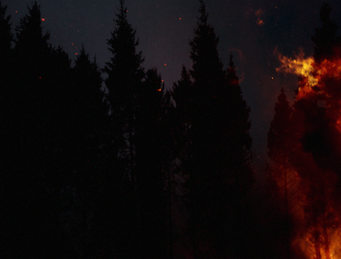 Sleep Has Her House 2017 Scott Barley