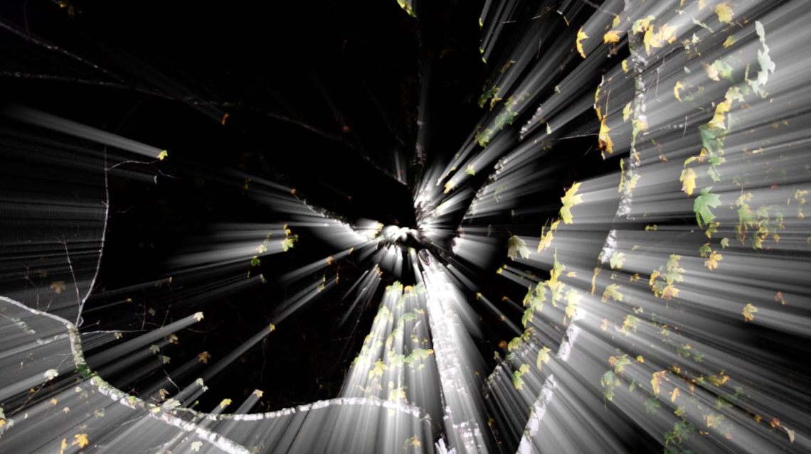 The Growing Glow 2018 Eli Hayes