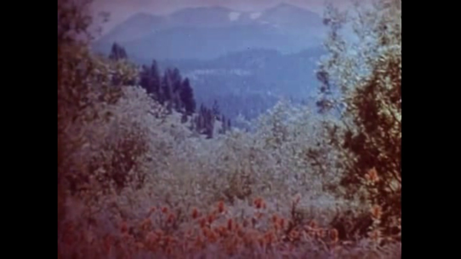 All Her Beautiful Green Remains In Tears (2018) Amy Cutler - a picture of a mountain on the Discovery Channel