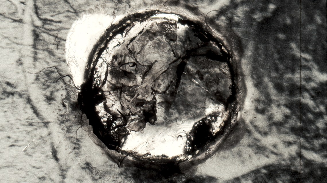 Basilisk, 2019, Autojektor 01