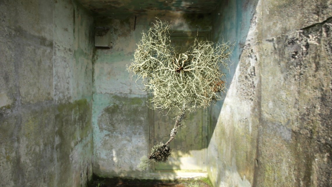 Chain Home West 2019 Seán Vicary 02