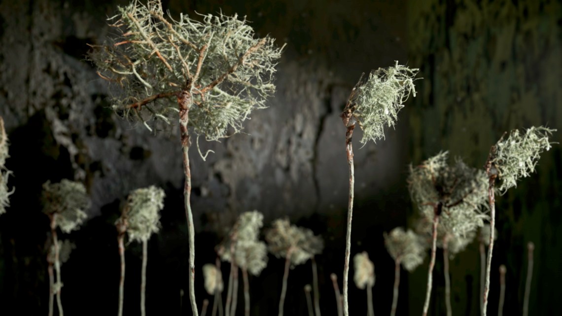 Chain Home West 2019 Seán Vicary 03