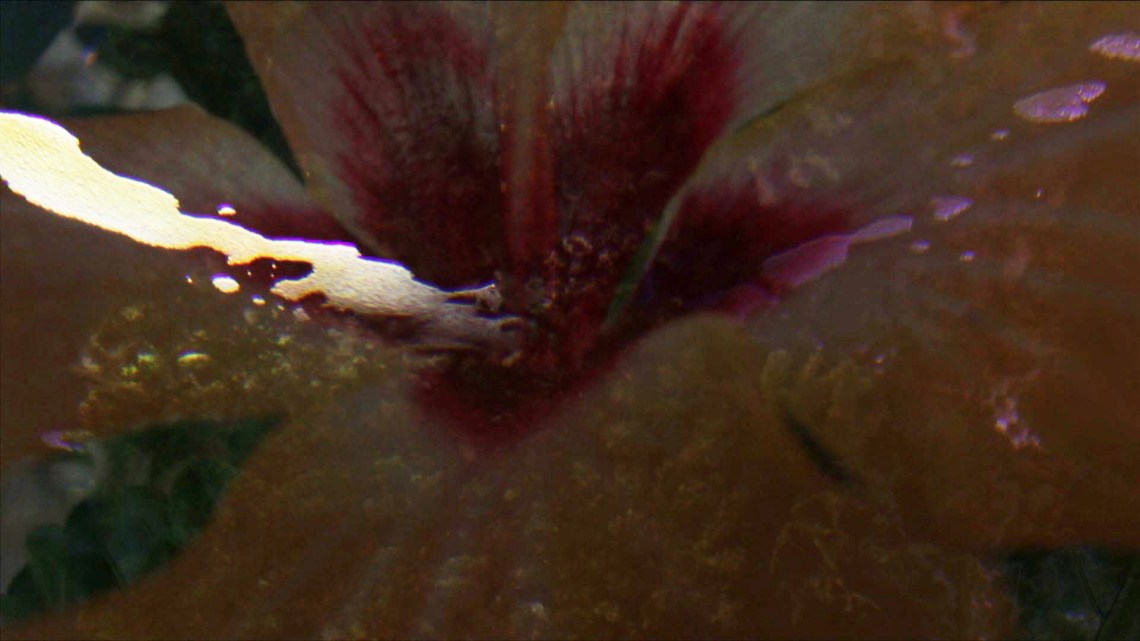 Mental Space, 2014, Toby Tatum Film Still 1