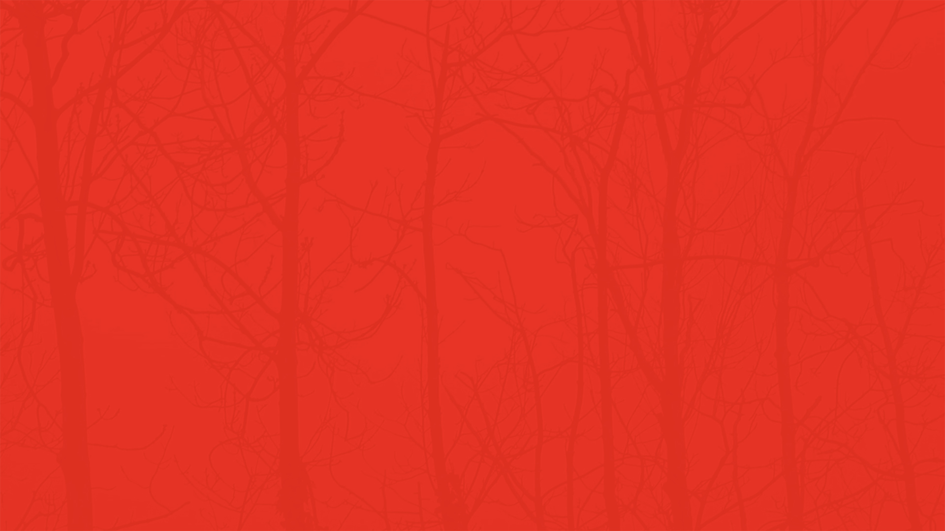 Notes From A Journey 2019 Daniel &amp; Clara still 04