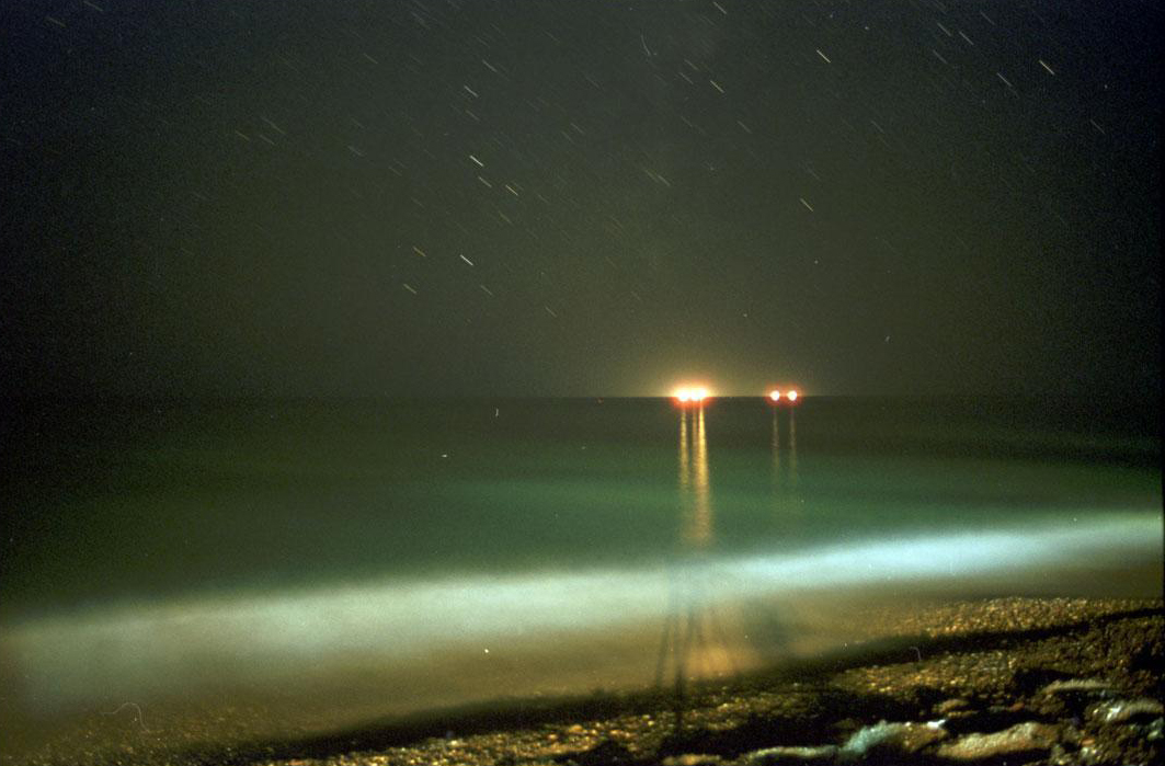 Redshift 2001 Emily Richardson