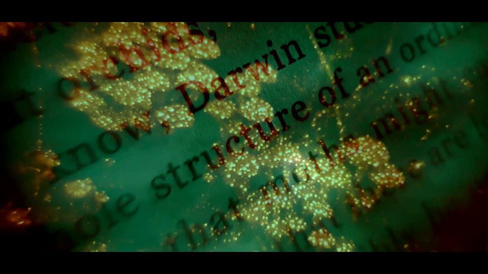 The Cultivator (2020) Amy Cutler, collaborative film with Graham Dunning