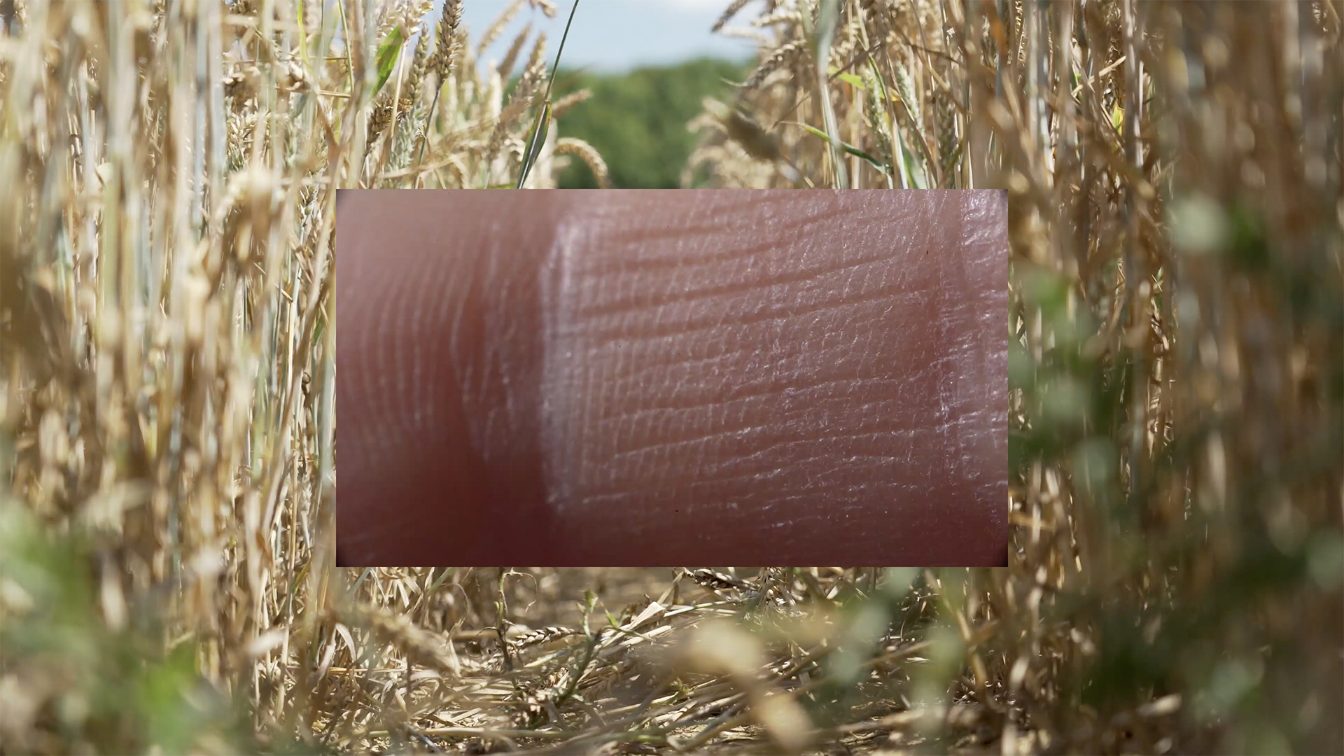 Inside Outside, 2021, Elise Guillaume