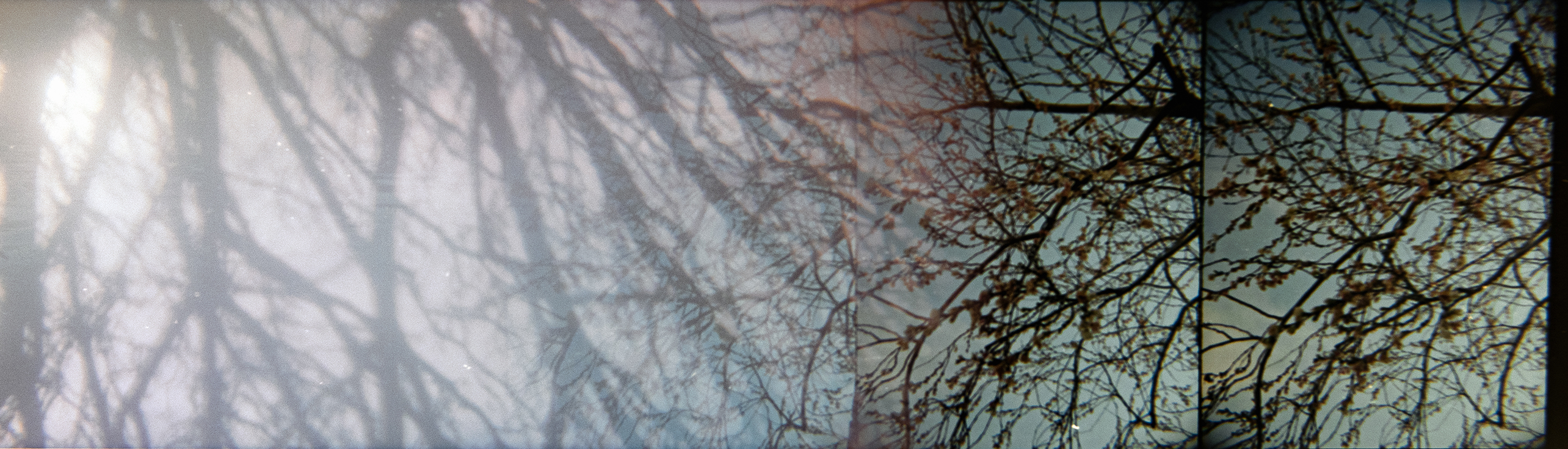 01 Sapphire Goss - Attic WIndows of the Infinite - MIA Journal issue 4_