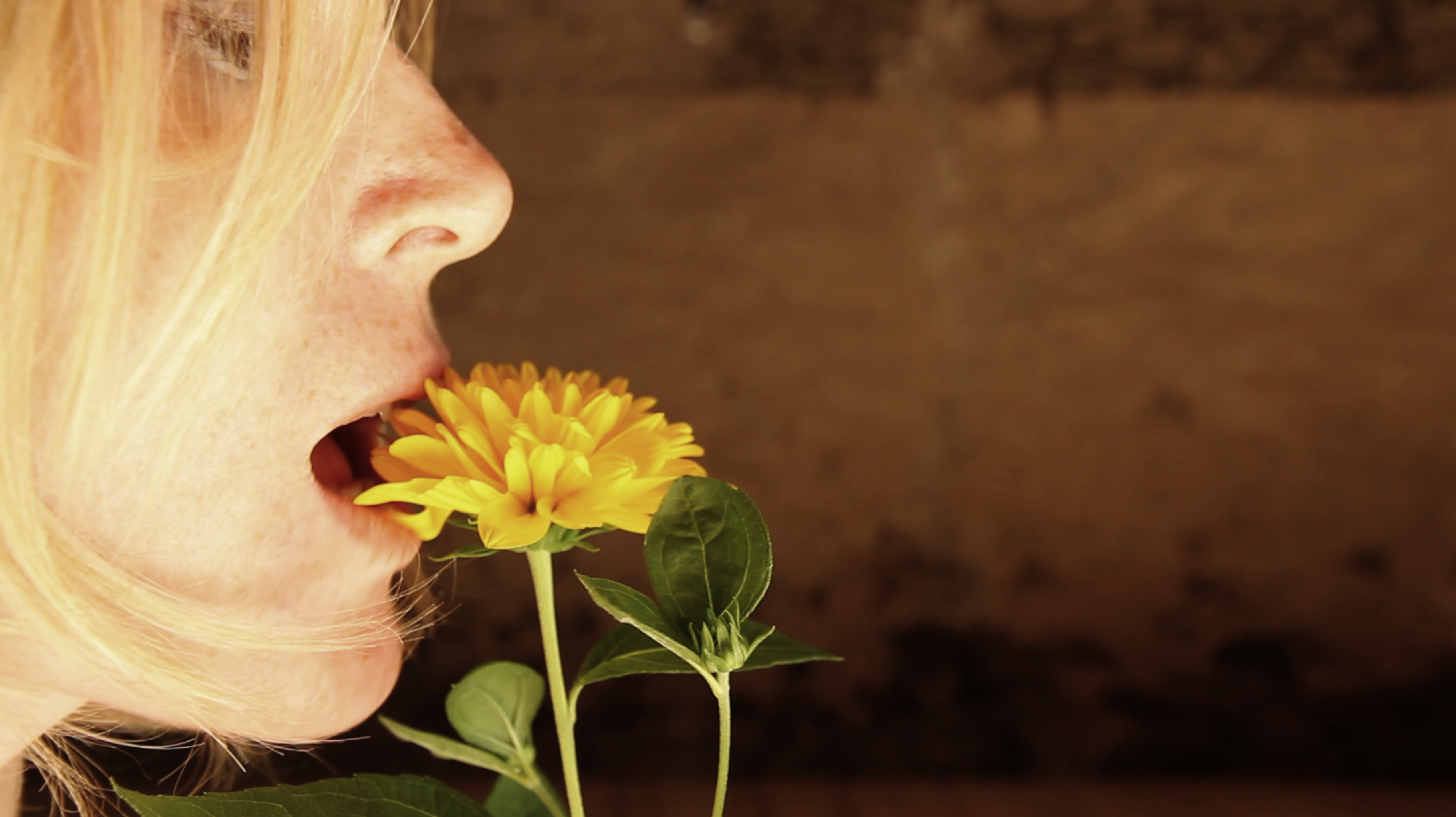 Summer Rituals, Tereza Stehlikova, 2013