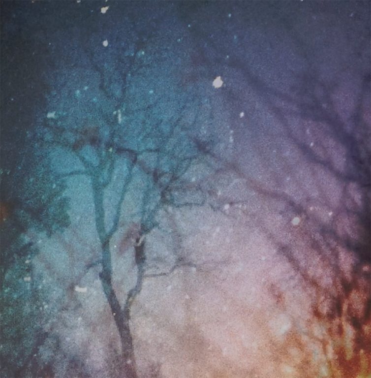 Attic Windows of the Infinite, 2022, Sapphire Goss Still 4