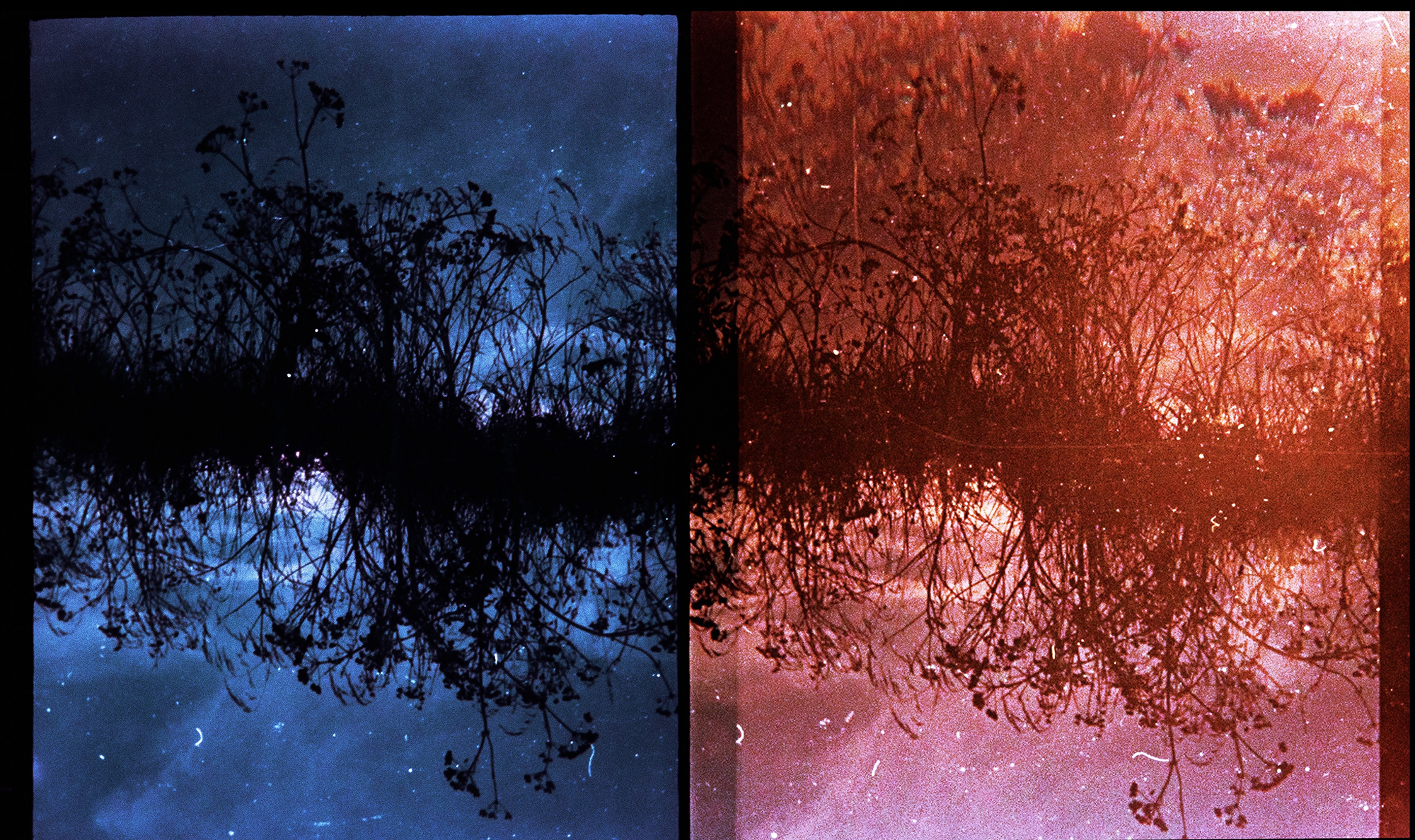 ‘Infinite Blue-Red’ 2022 Sapphire Goss