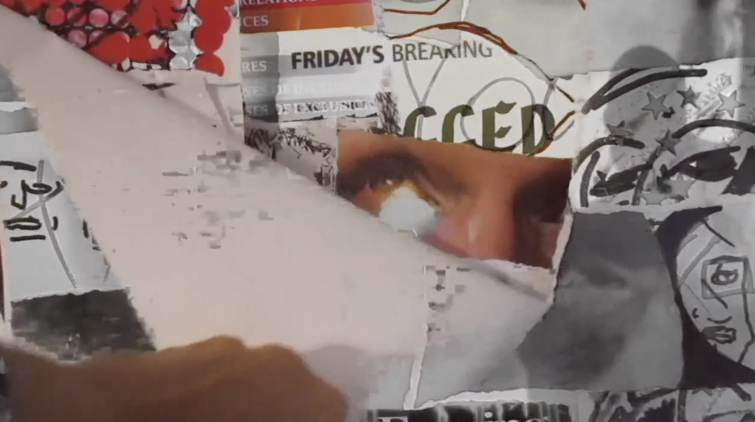 LET RIP - A PERSONAL HISTORY OF SEEING AND NOT SEEING 2