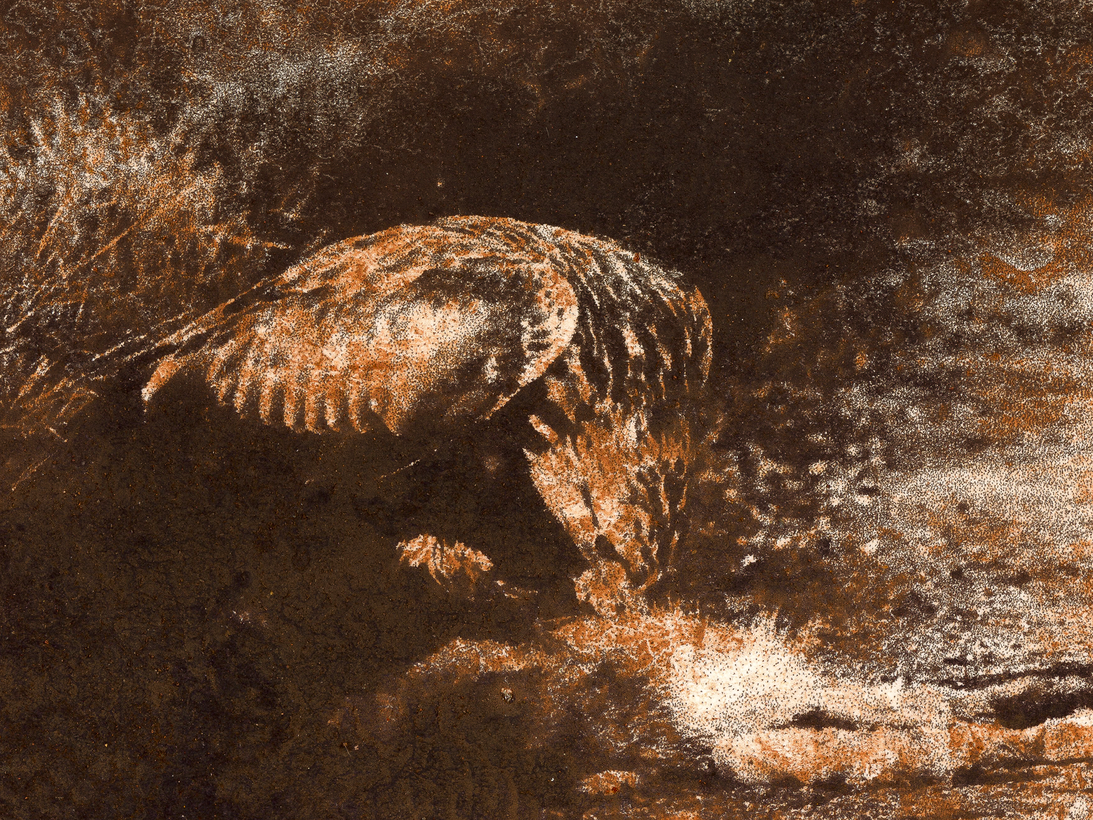 Yorkshire Dirt, 2022, Edd Carr