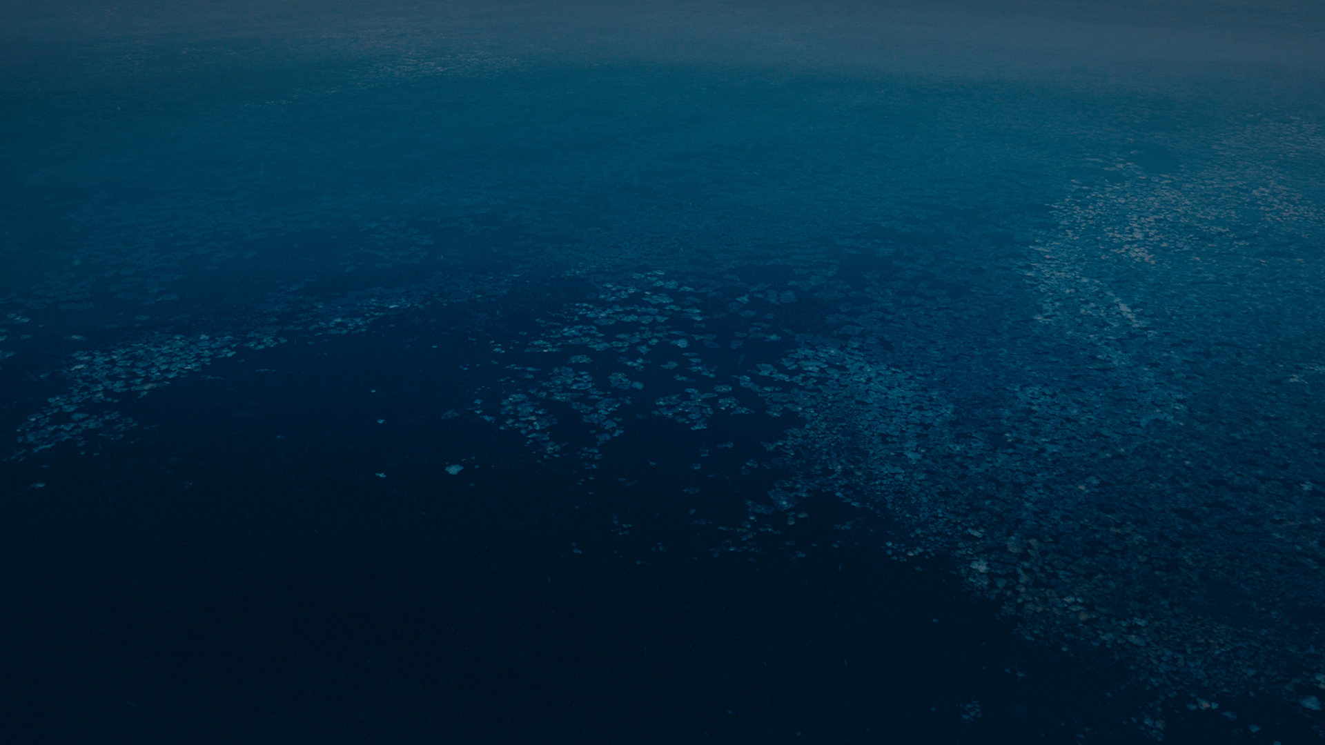 Eventual Horizon, 2023, Elise Guillaume_01