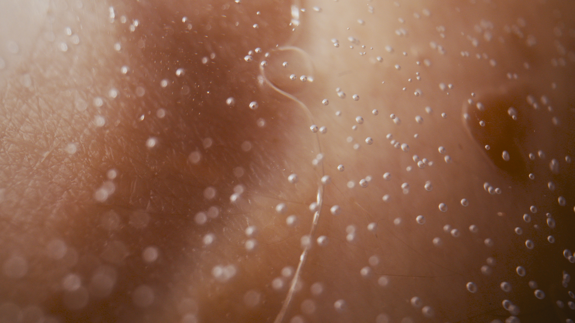 Eventual Horizon, 2023, Elise Guillaume_02