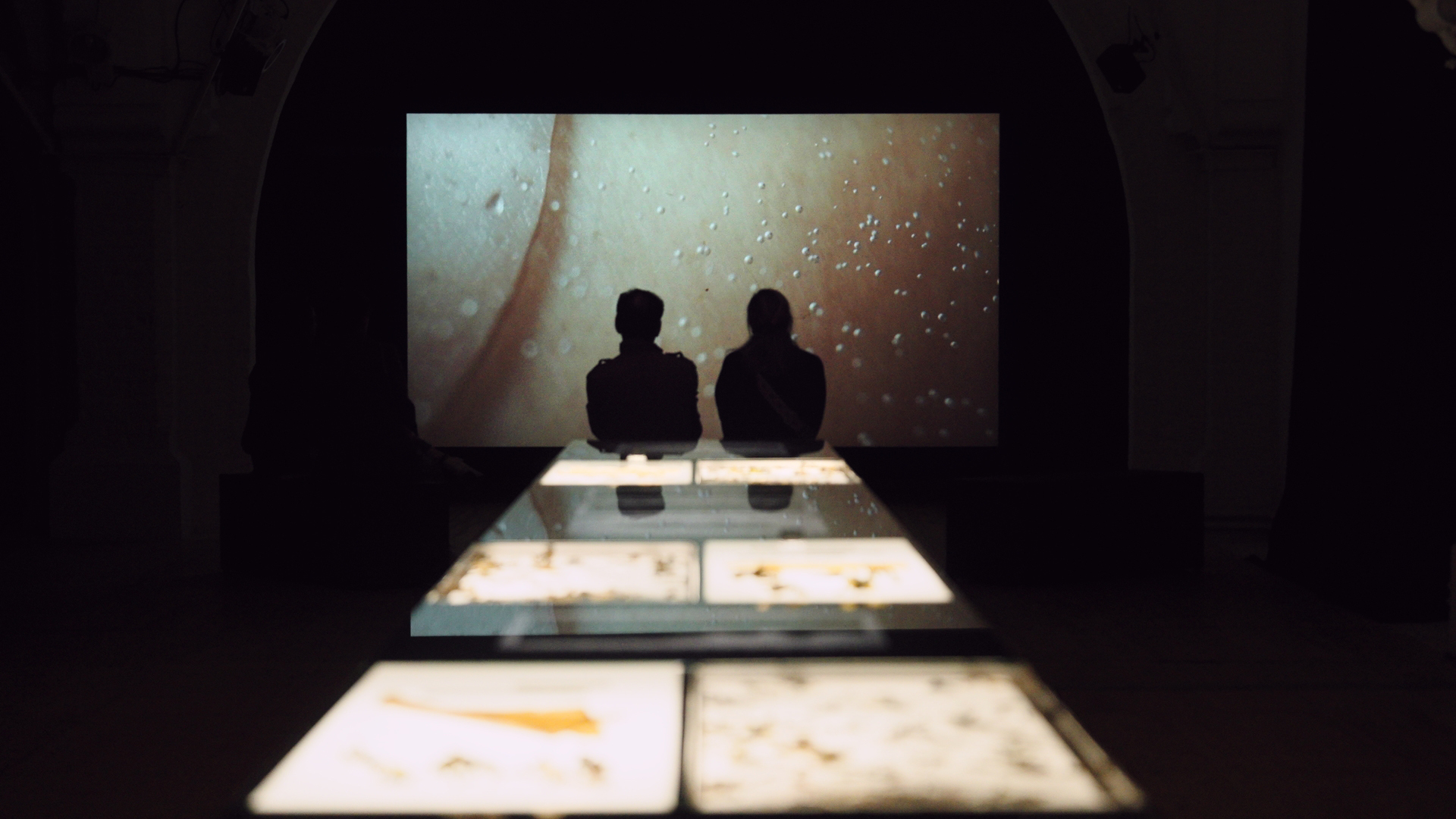 Exhibition view of Émotions Terranaissantes, Espace Croisé, 2023_02